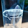 Load image into Gallery viewer, Bonefish Engraved Glasses