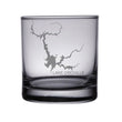 Load image into Gallery viewer, Lake Oroville (CA) Map Engraved Glasses