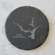 Load image into Gallery viewer, Lake Hartwell Coaster Set (Slate or Leatherette)