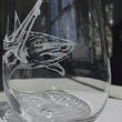Load and play video in Gallery viewer, Shark Engraved Glasses