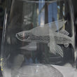 Load and play video in Gallery viewer, Flying Fish Engraved Glasses