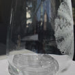 Load and play video in Gallery viewer, Sea Urchin Engraved Glasses