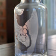 Load image into Gallery viewer, Jekyll Island Engraved Glass Carafe