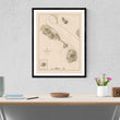 Load image into Gallery viewer, St. Kitts and Nevis Islands Map - 1872