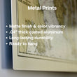 Load image into Gallery viewer, Land Locked Salmon or Quananiche - Vintage Fish Illustration - Printed on Paper | Canvas | Canvas with Frame | Metal
