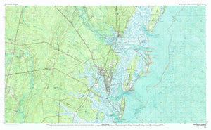 Brunswick (GA) Map - 1981