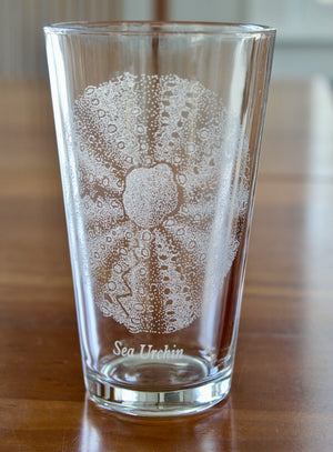Sea Urchin Engraved Glasses