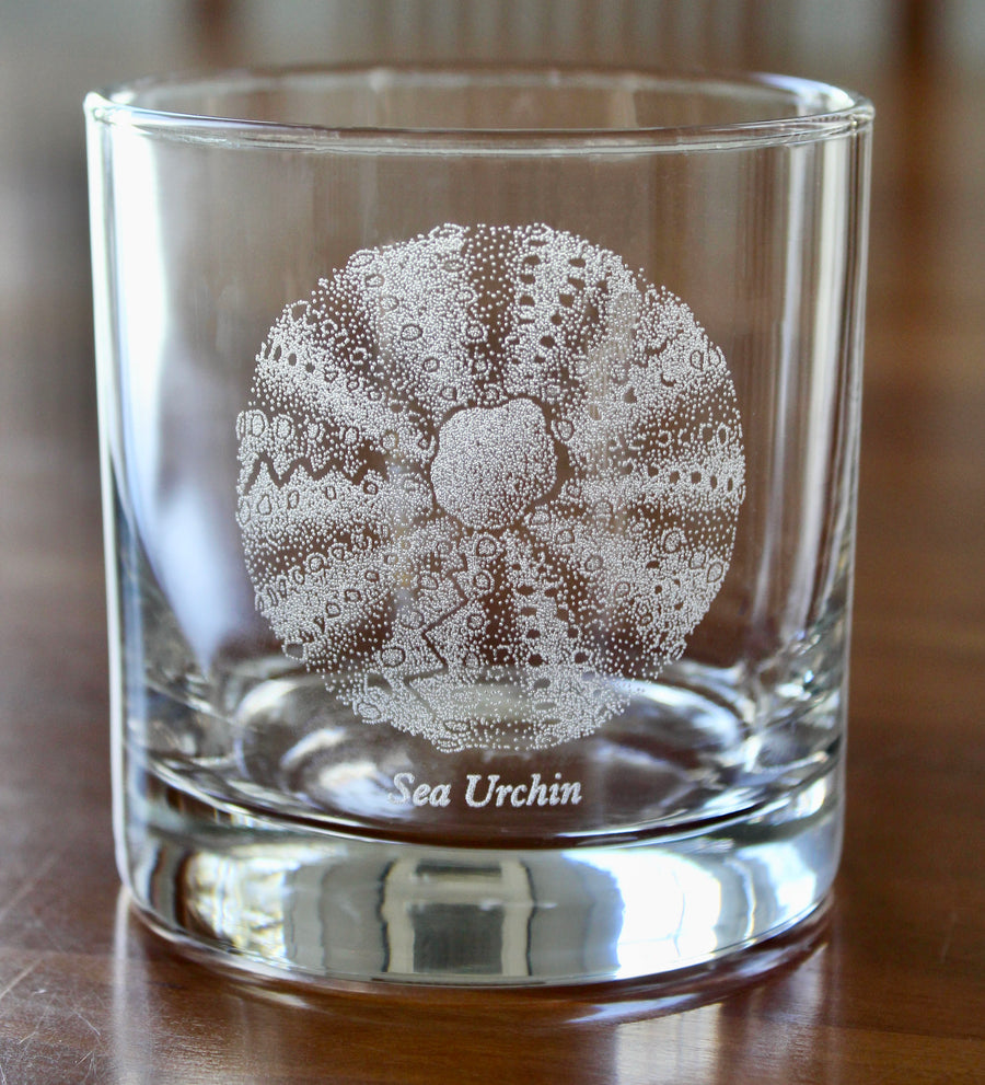 Sea Urchin Engraved Glasses