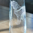 Load image into Gallery viewer, Spinone Italiano Engraved Glasses

