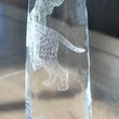 Load image into Gallery viewer, Spinone Italiano Engraved Glasses
