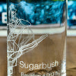 Load image into Gallery viewer, Sugarbush Vermont Ski Trail Map Laser Engraved Glasses
