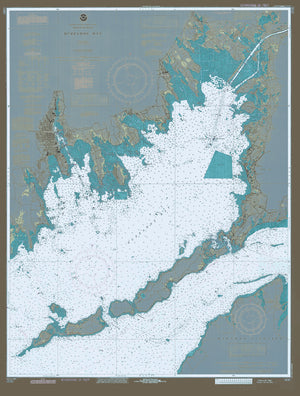 Buzzard's Bay Map - Custom Color (Earth tones)