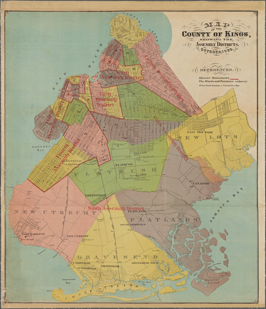 County of Kings - Assembly Districts - 1869