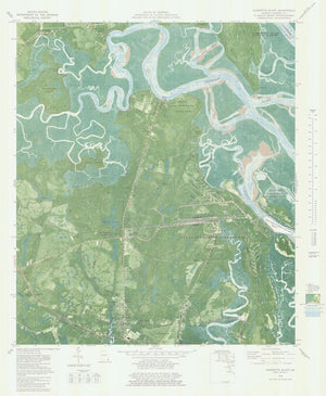 Harrients Bluff Georgia Map - 1980