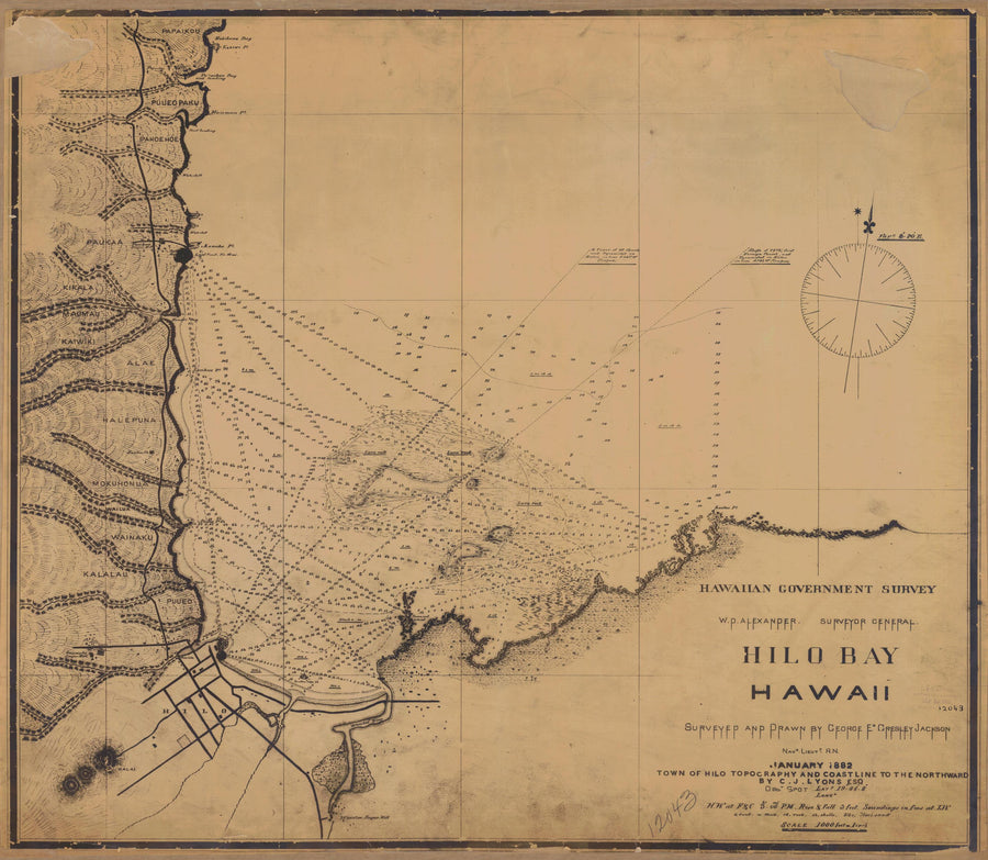 Hilo Bay Hawaii Map - 1882