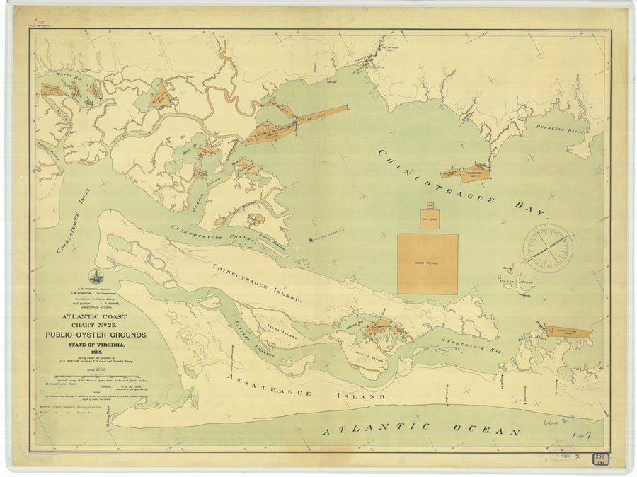 Virginia Public Oyster Grounds - Chart 25 Map - 1895